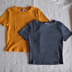 Set of two basic fitted t-shirts
